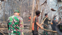 Kebakaran Landa Kawasan PT REKI, 30 Hektare Lahan Konservasi Hangus